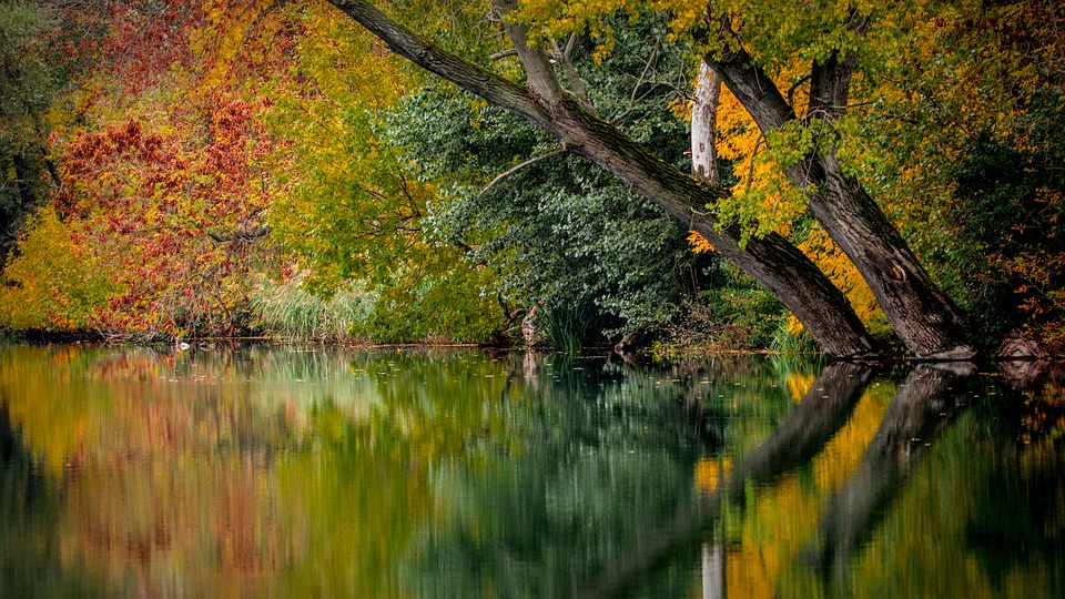 Paysage d automne